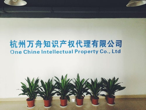 杭州萬舟知識產權代理 專業(yè)商務代理代辦服務的領航者